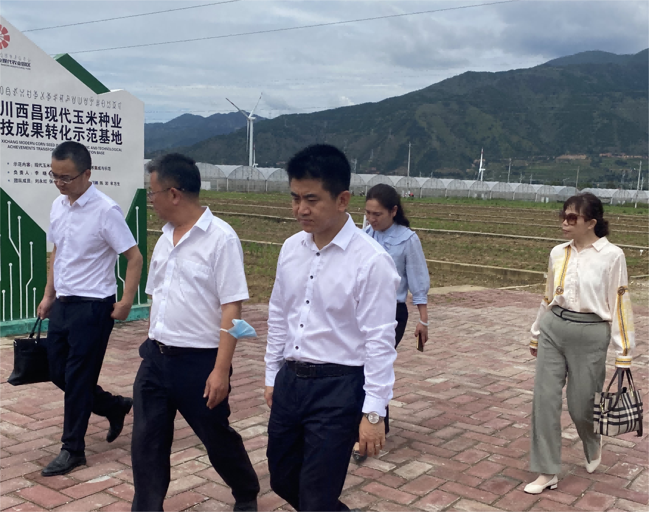 四川种业集团调查调研凉山州种业工作