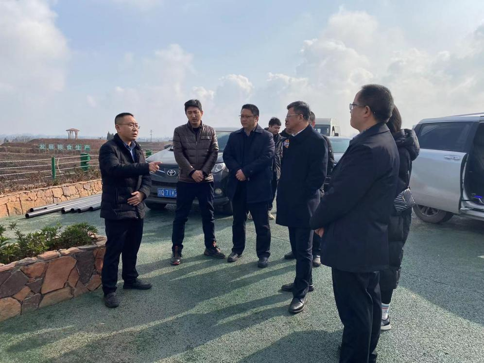 四川种业集团赴宜宾调查酿酒粮基地