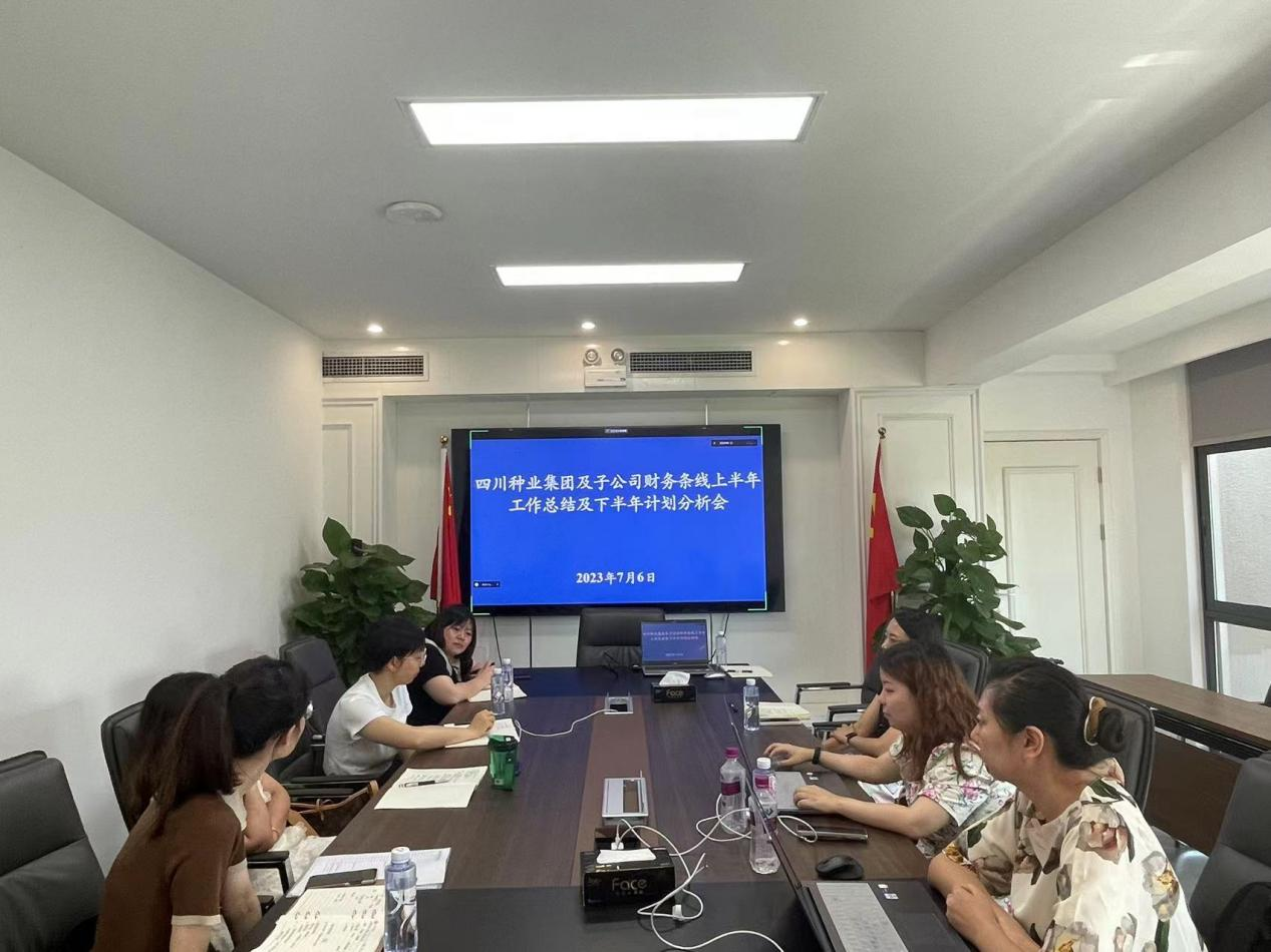 四川种业集团财政上半年工作总结及下半年工作打算分析会.png