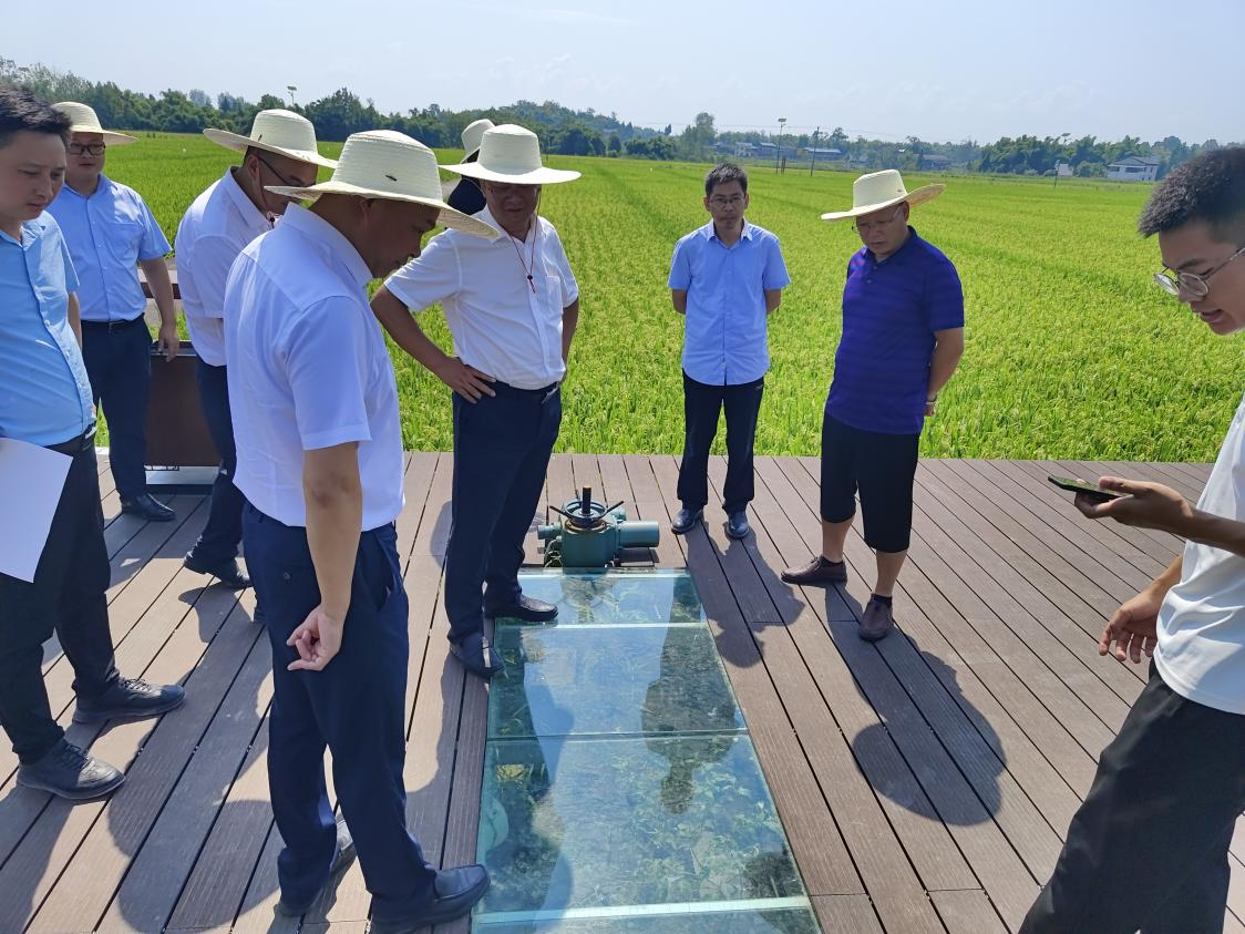 四川种业集团推动广安市种业产业合作项目落地