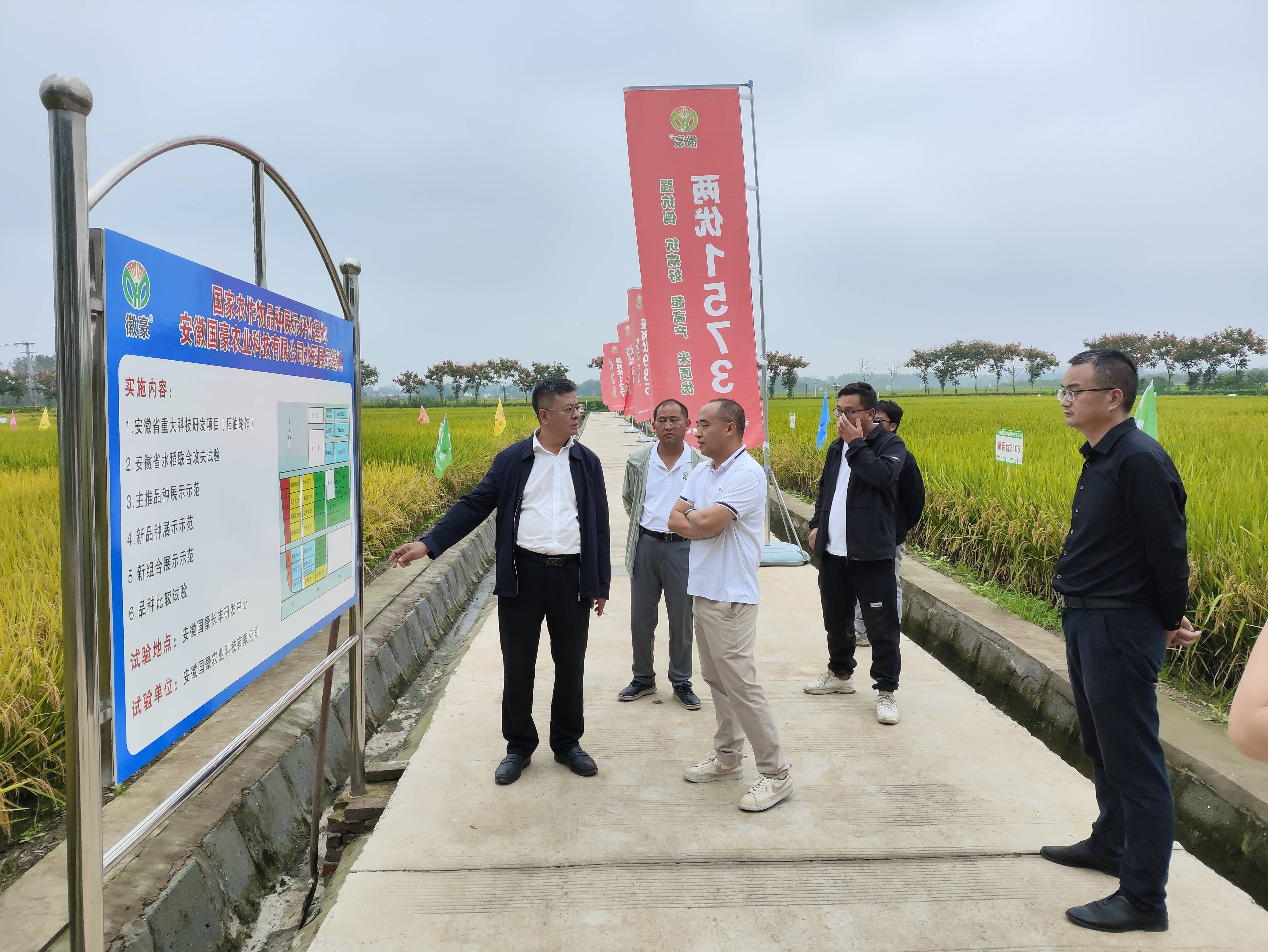 易飞赴安徽岳阳参与全国种子双交会