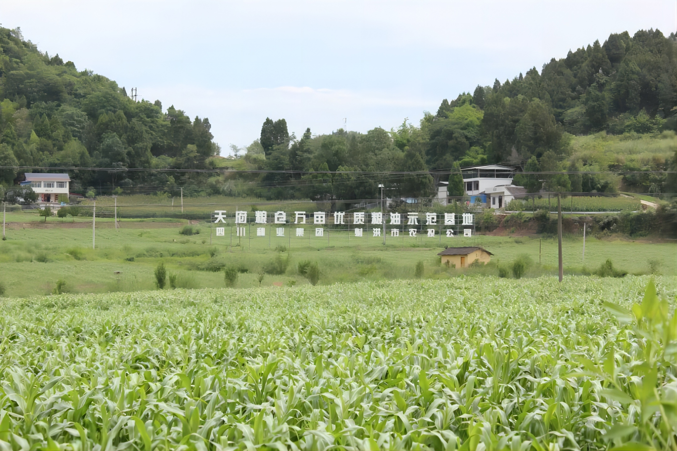 【党组（党委）书记谈体味】 四川种业集团：对峙科学理论领导 推动四川今年会发展
