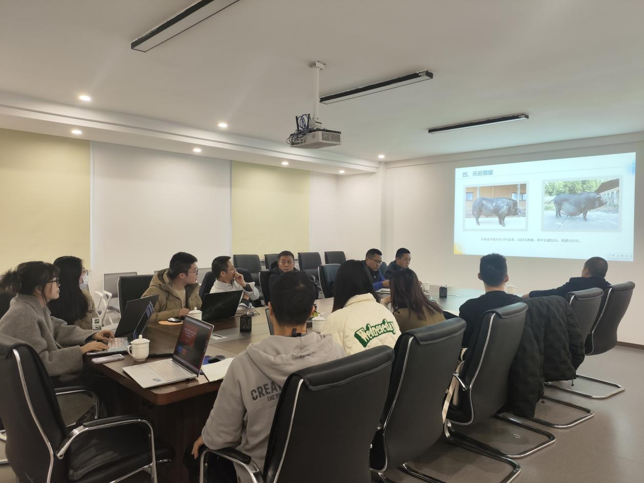 邛崃市嘉林生态农场赴蜀芯猪公司发展育种钻研互换
