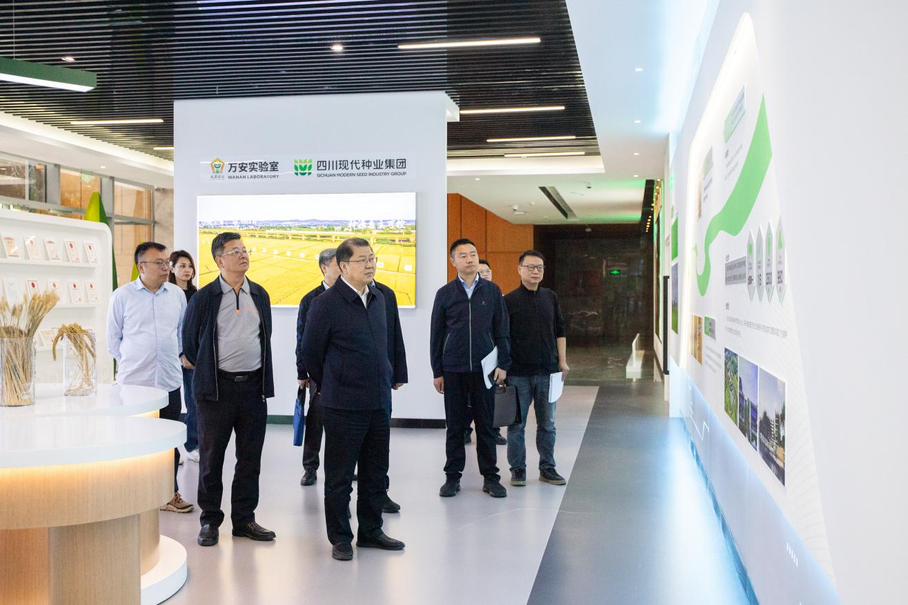 蒋刚到今年会调研