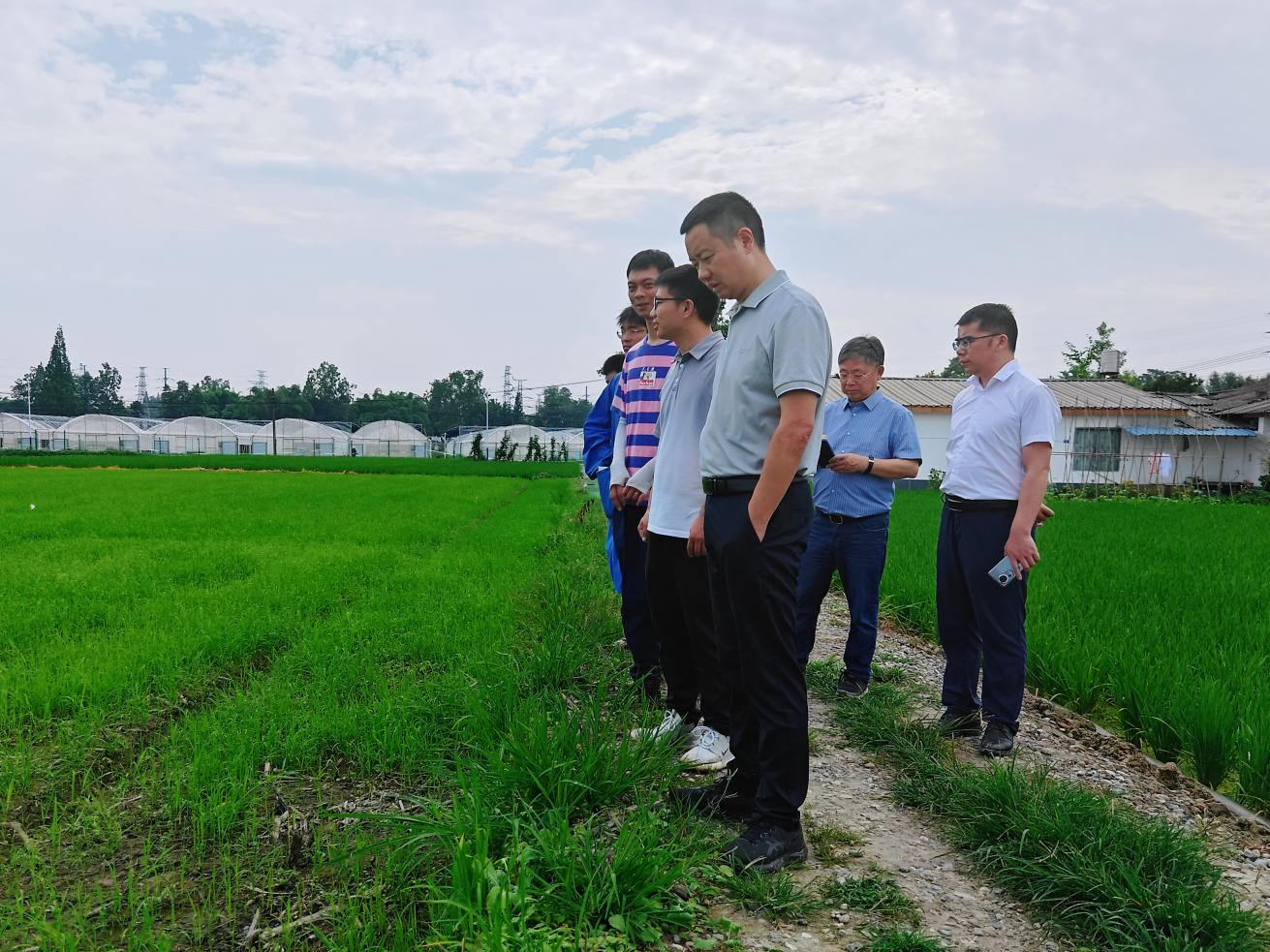 孙吓茁到科创中心调研