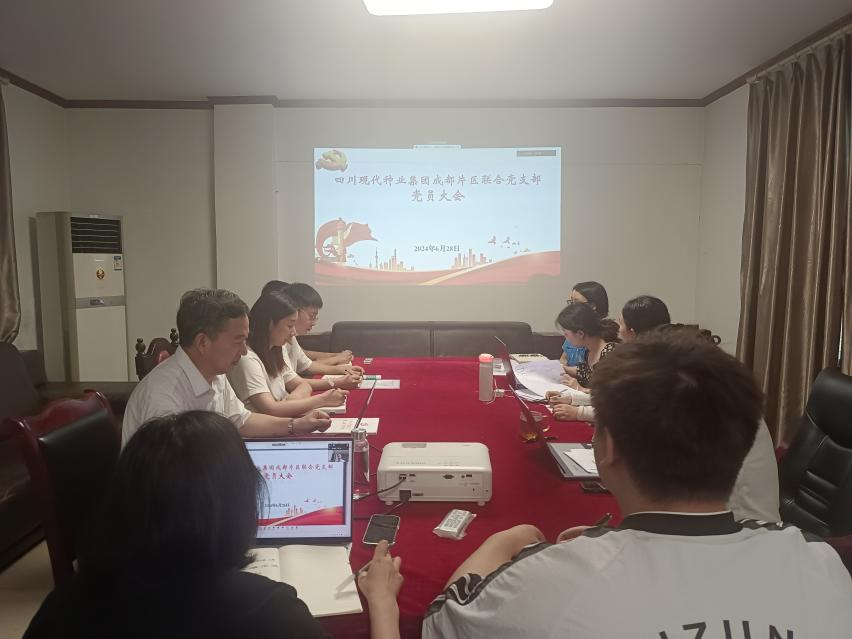 2024年6月28日今年会成都片区结合党支部召开党员大会专题进建贯彻省委十二届五次全会心灵.png