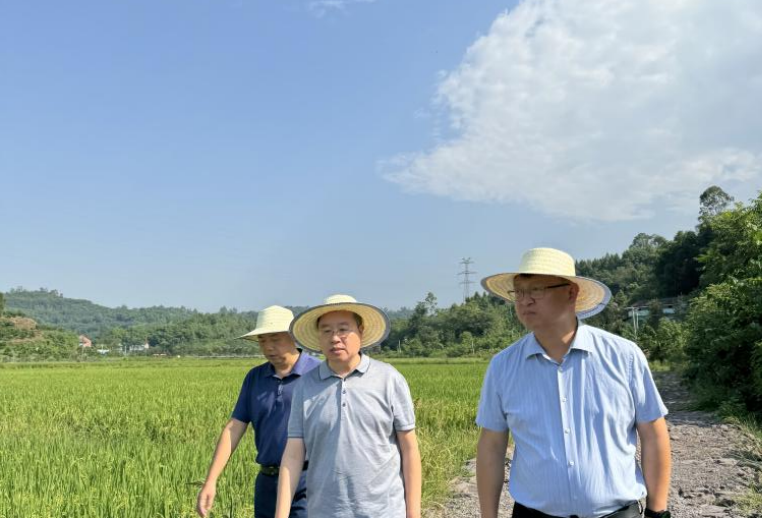 黄幼文到广安市调研农事服务工作.png