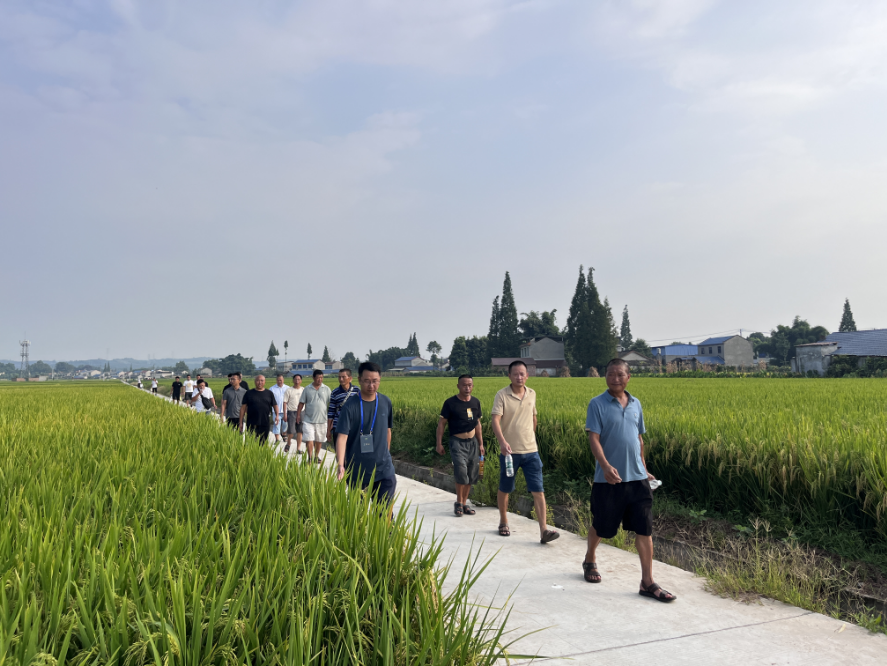 九兴禾农业公司进杏装天府粮仓优势水稻种类”现场观摩会1.png