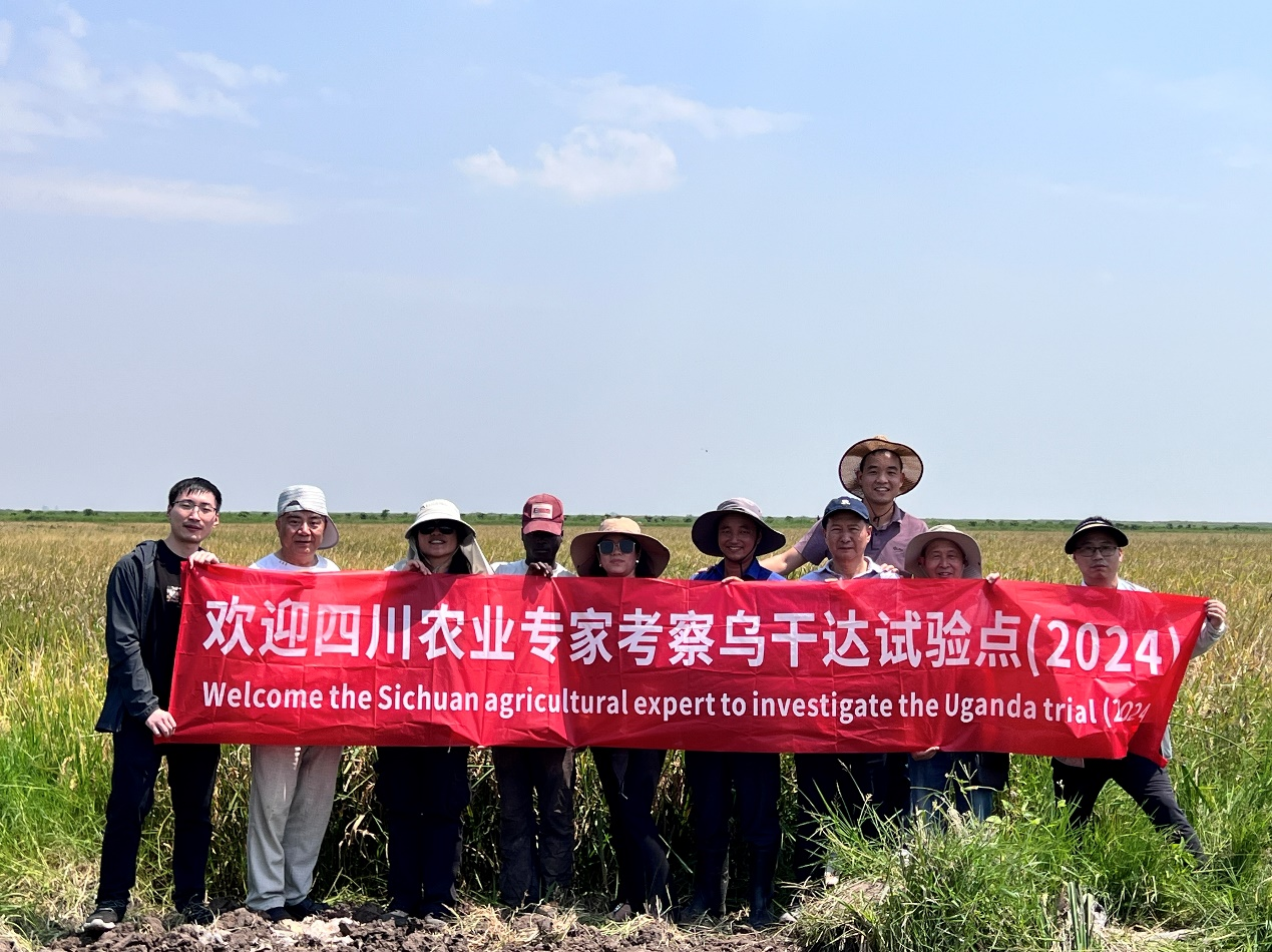 四川农业专家团调查仲衍种业乌干达试验点1.png