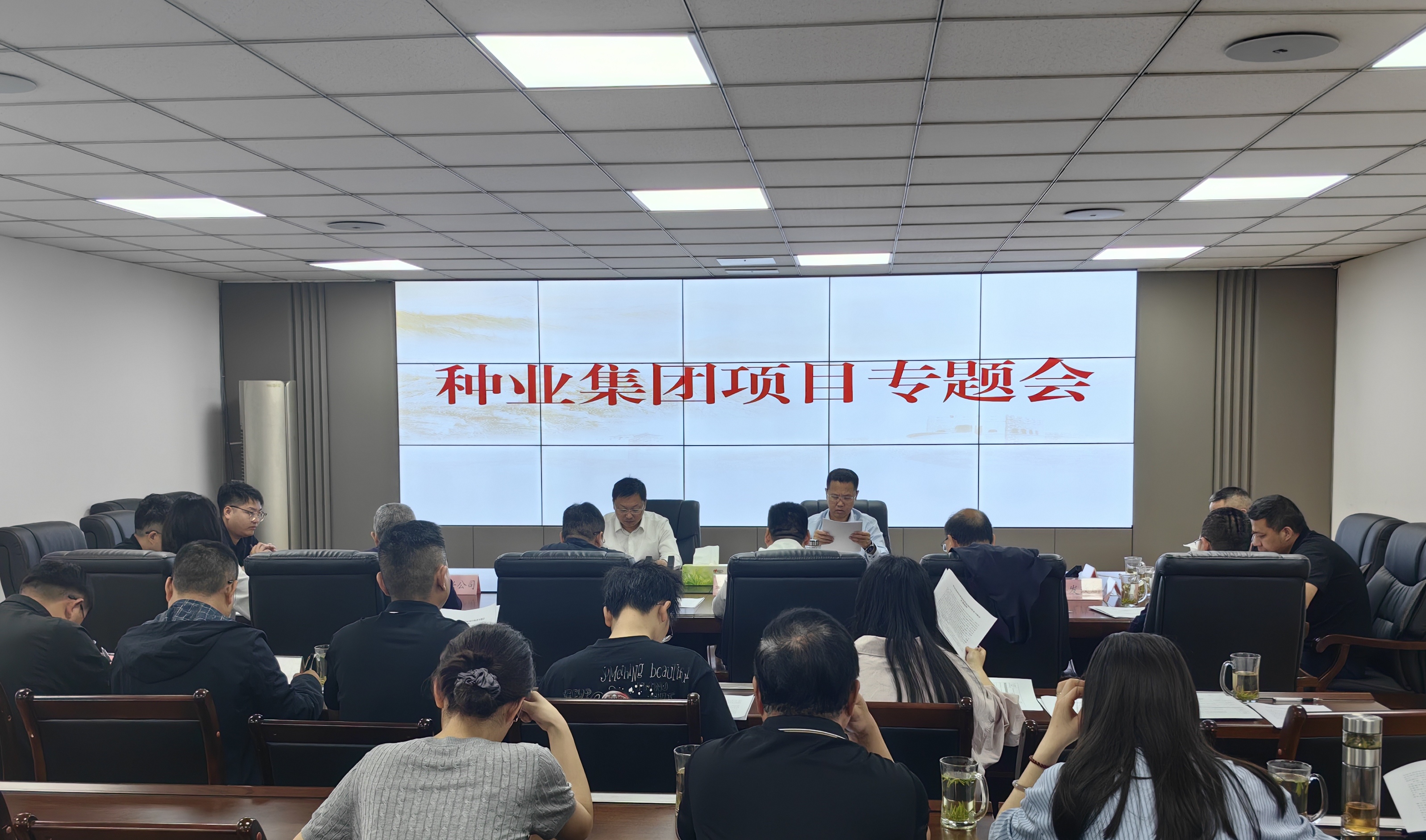 4月17日三台县组织召开种业集团项目专题会.jpg