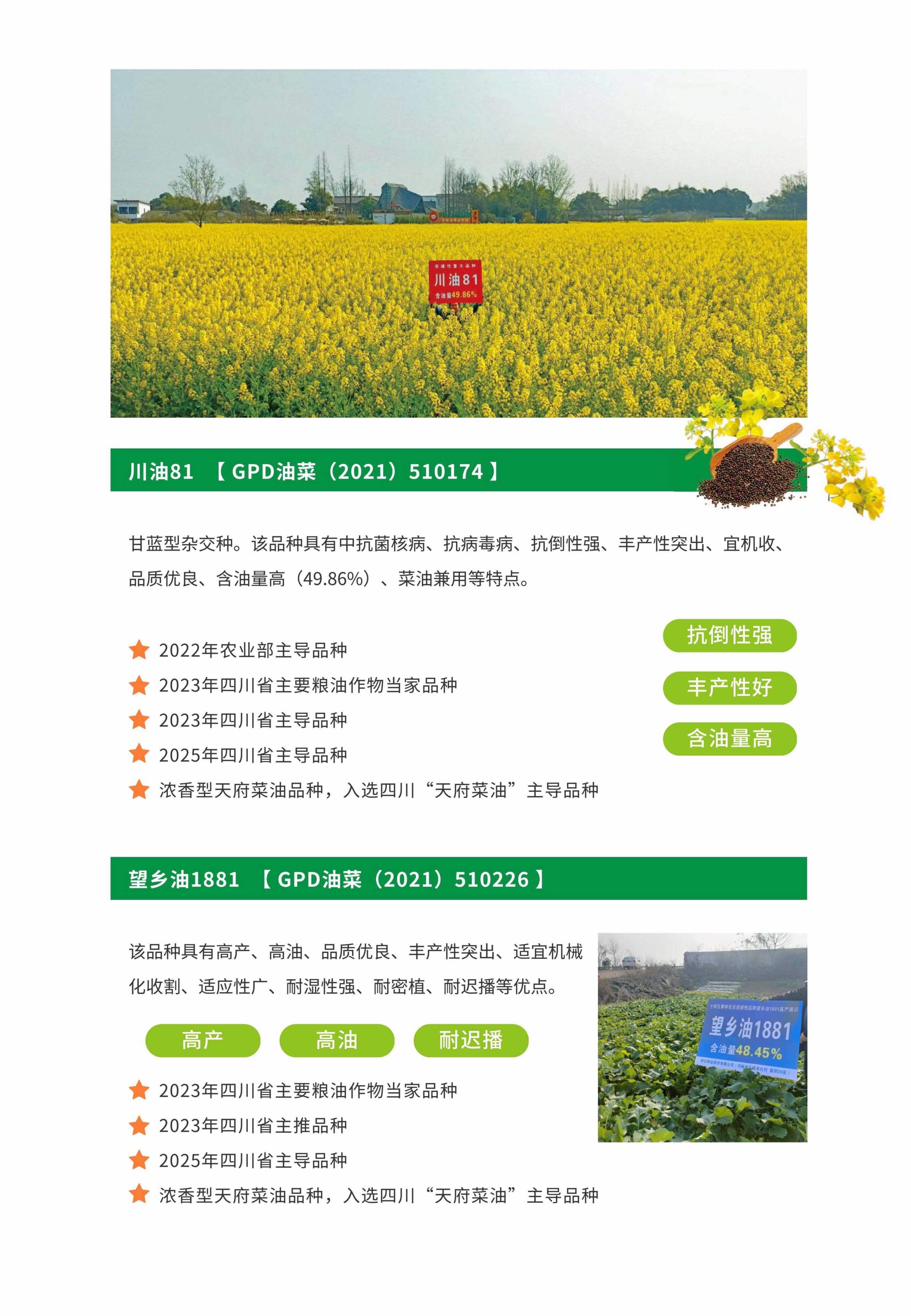6.4油菜主推长图_conv (2).jpg