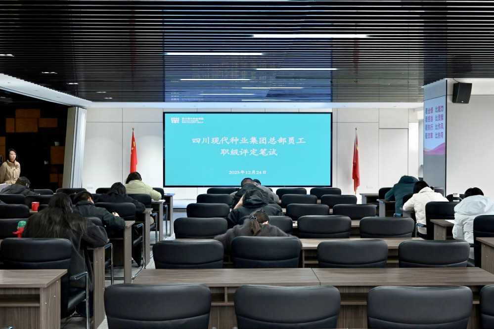 今年会发展总部员工职级评定笔试