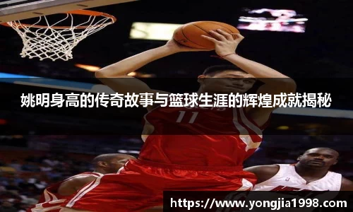 易游体育