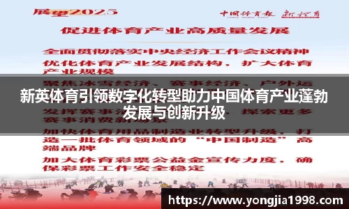 新英体育引领数字化转型助力中国体育产业蓬勃发展与创新升级