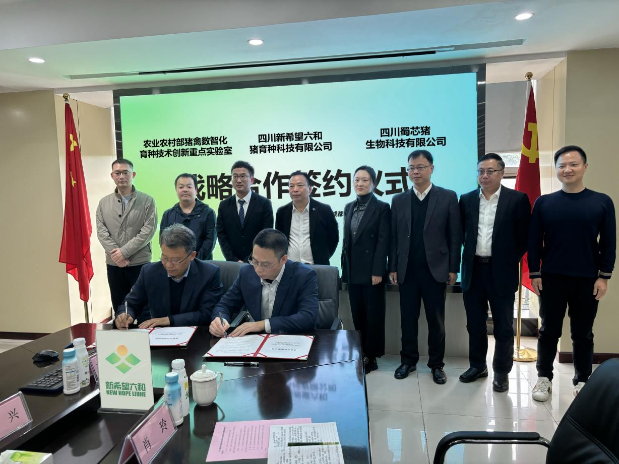 蜀芯猪公司与新但愿六和猪育种科技有限公司签定战术合作和谈