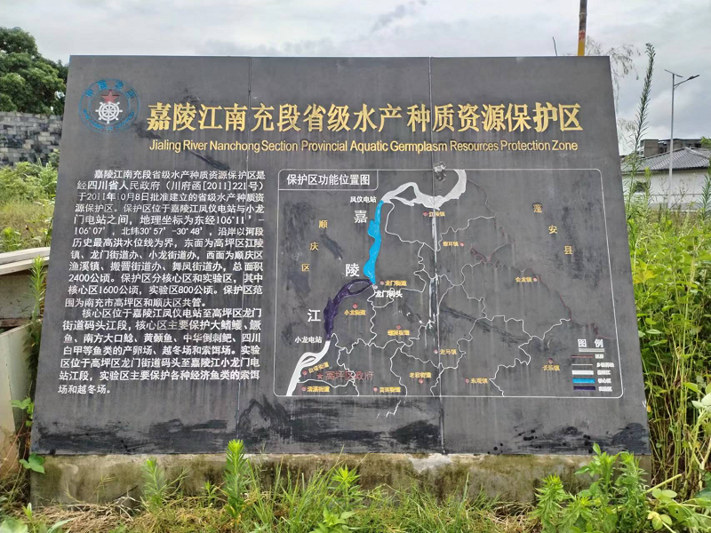 四川省水产种质资源；；；；；；；で卫碇葱邢冈