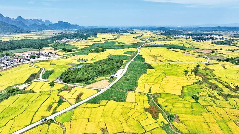 有力有效推动村落全面振兴