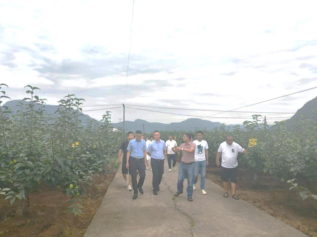 南充川北公司到苍溪县发展托底性助扶工作