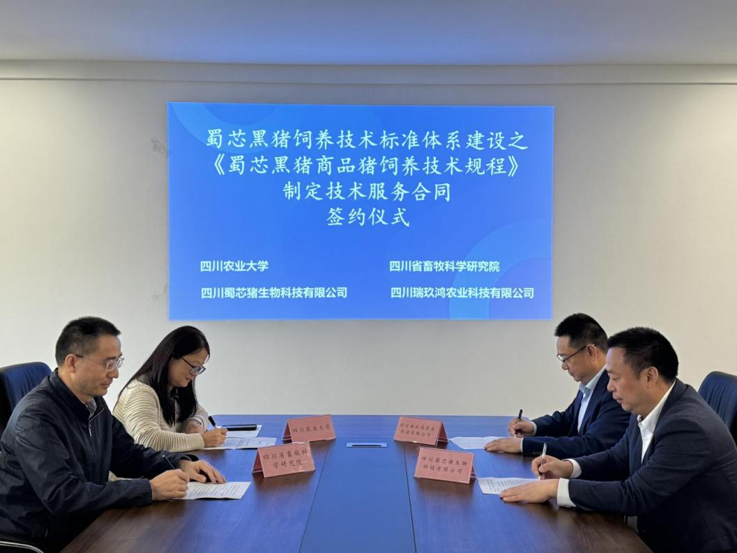 蜀芯猪公司与川农大、省畜科院、瑞玖鸿公司进行签约典礼  共同推动蜀芯黑猪豢养技术尺度系统建设