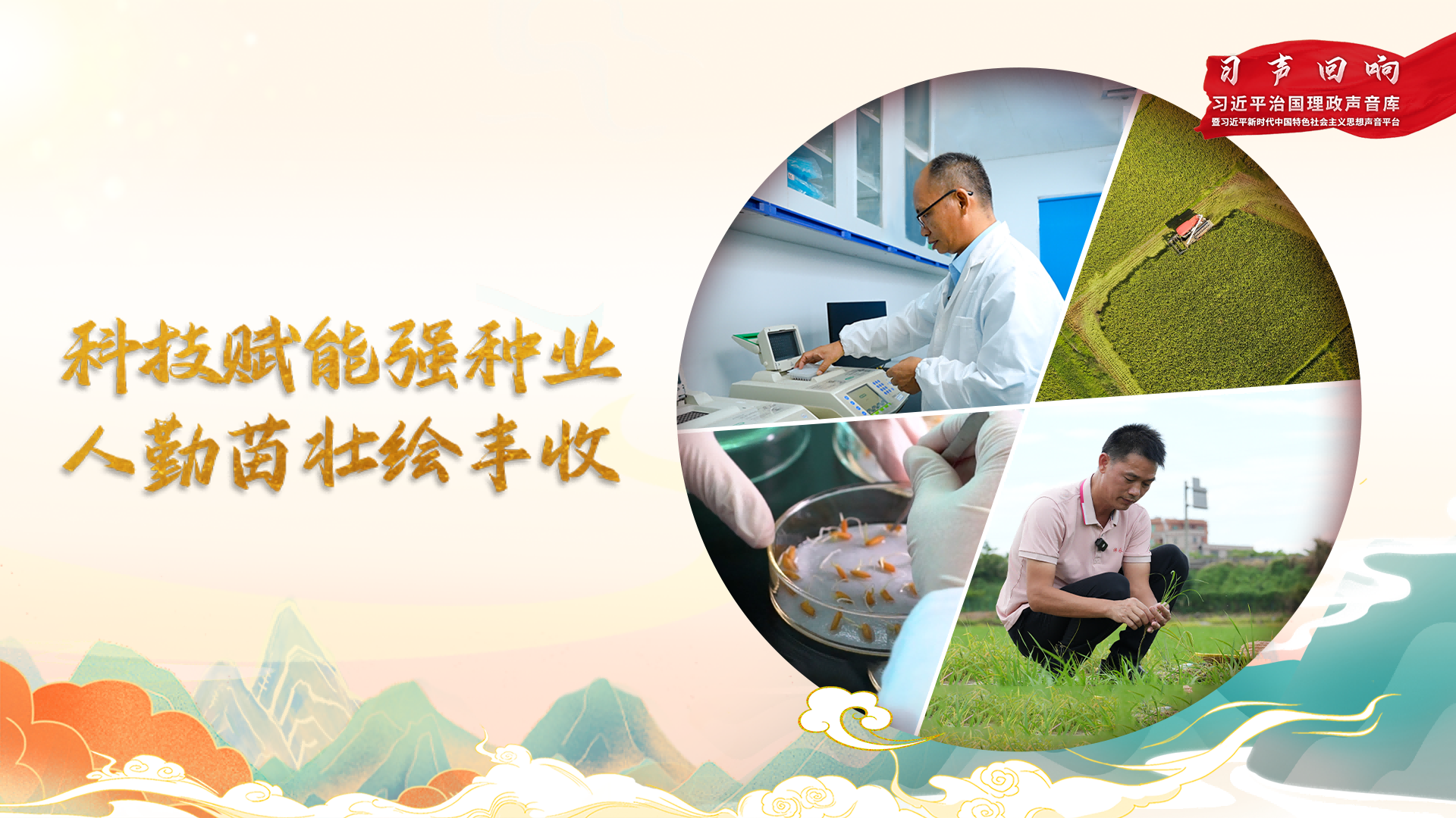 【习声回响】科技赋能强种业 人勤苗壮绘丰登