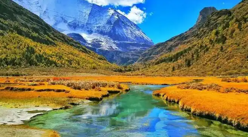 今年会专题钻研稻城县托底性助扶工作