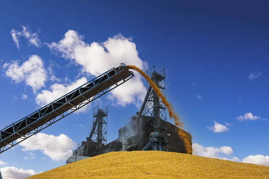 于立军在省储蓄粮集团调研时强调 坚定扛牢粮食安全政治责任 推动粮食储蓄工作再上新台阶