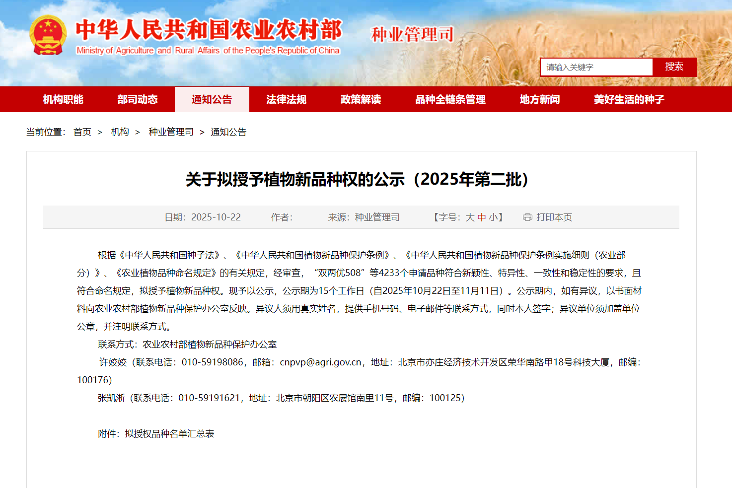 今年会科威洋葱公司“科威白610”拟获植物新种类权