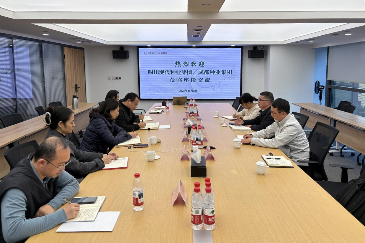 蜀丰种源公司与成都粮食集团、成都种业集团发展合作洽谈