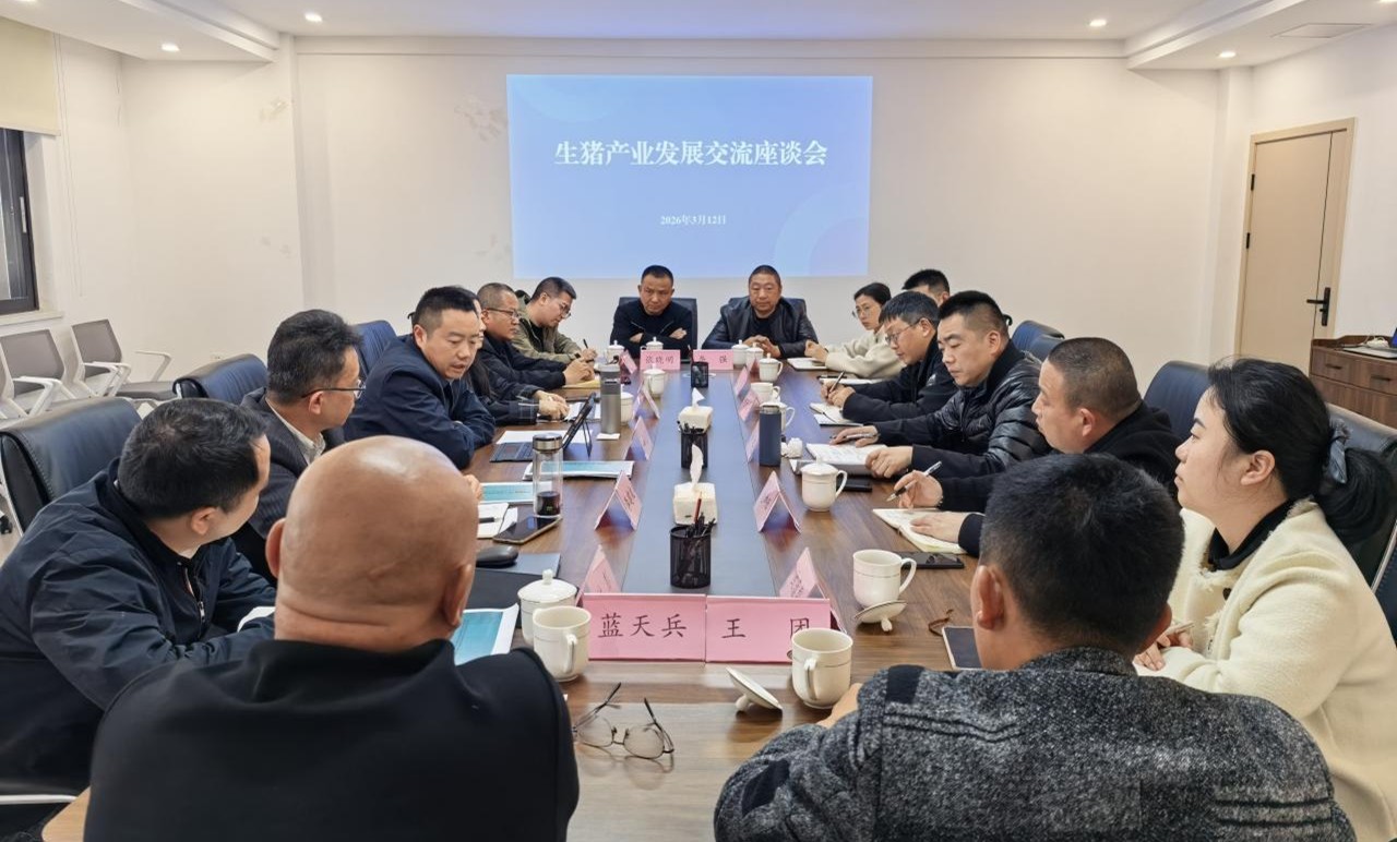 蜀芯猪公司与三台县老马镇当局进行黑猪产业发展互换座谈会